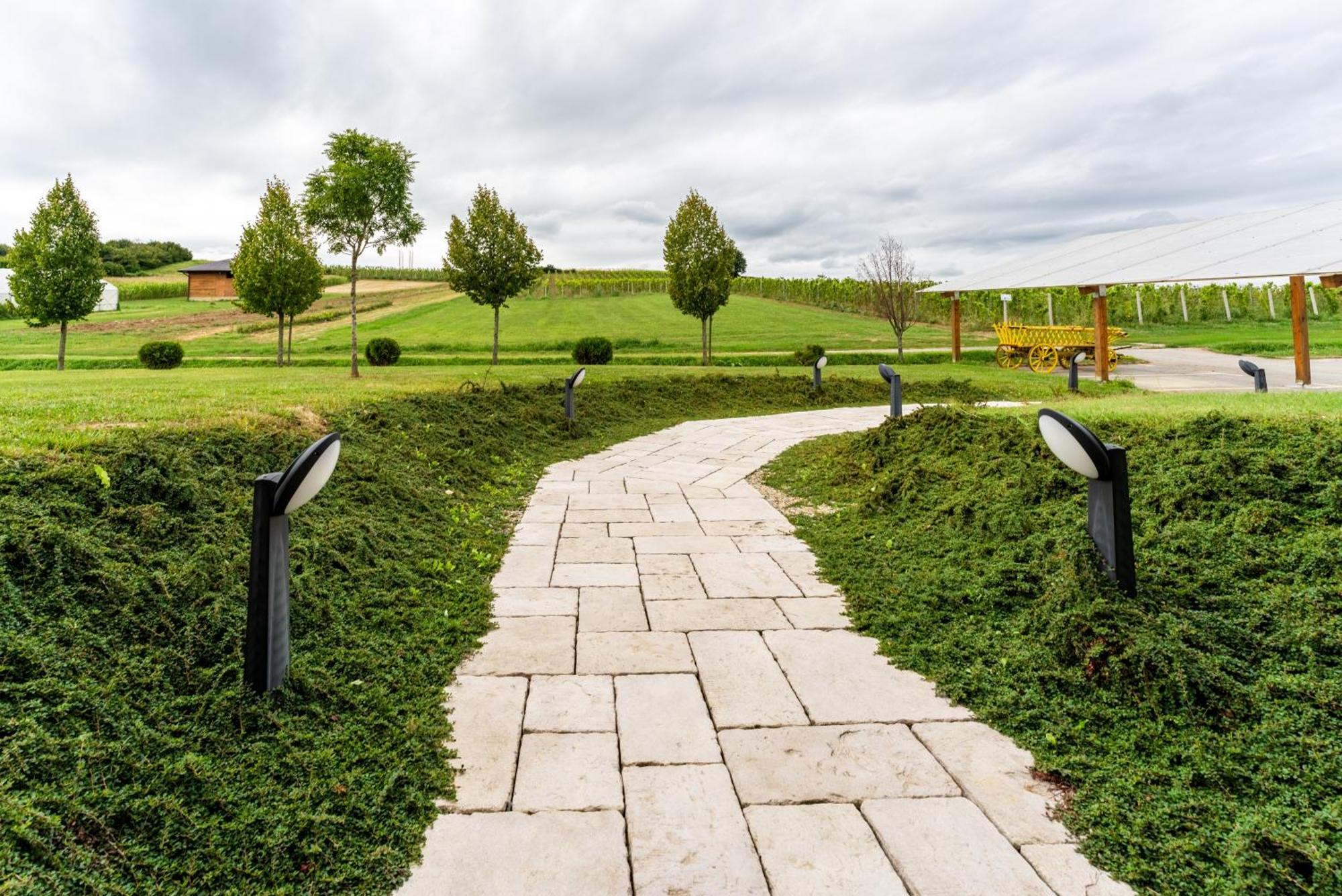Bed&Breakfast Vinarija Coner Bjelovar Dış mekan fotoğraf