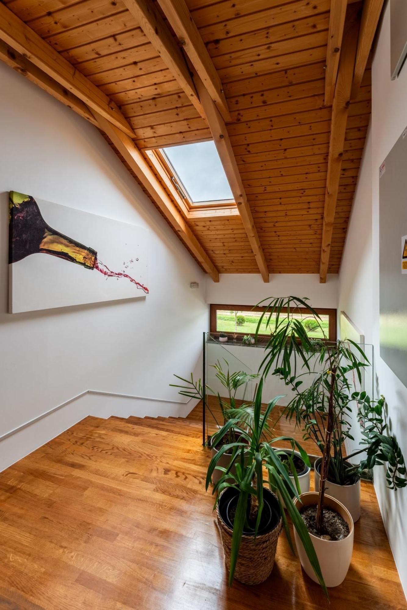 Bed&Breakfast Vinarija Coner Bjelovar Dış mekan fotoğraf